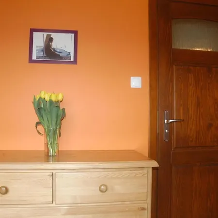 Solaris Homestay