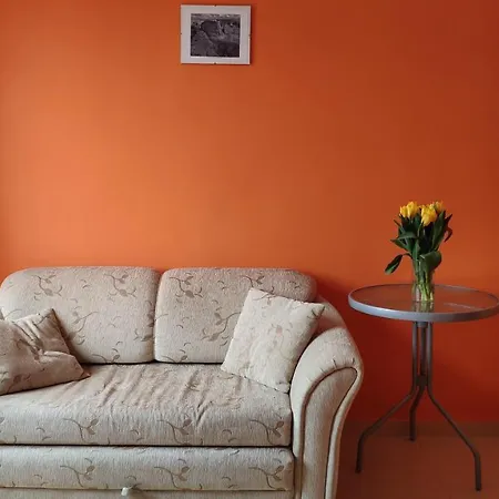 Solaris Homestay *