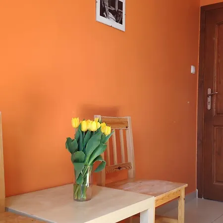 Solaris Homestay *